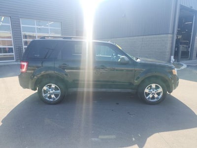 2010 Ford Escape XLT