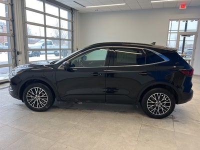 2025 Ford Escape Plug-In Hybrid Base