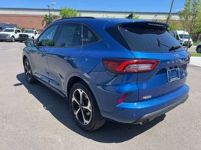 2023 Ford Escape ST-Line Elite