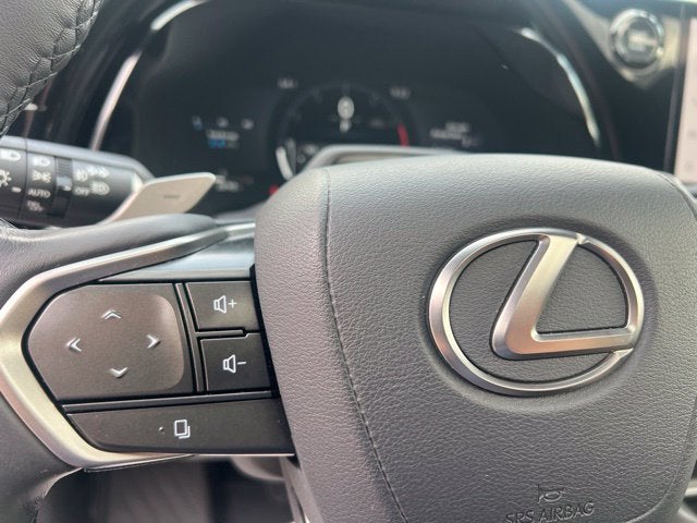2025 Lexus RX 350 Luxury